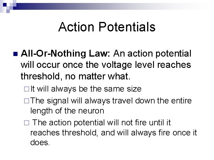 Action Potentials n All-Or-Nothing Law: An action potential will occur once the voltage level