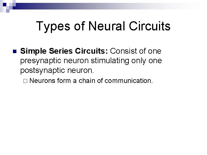 Types of Neural Circuits n Simple Series Circuits: Consist of one presynaptic neuron stimulating