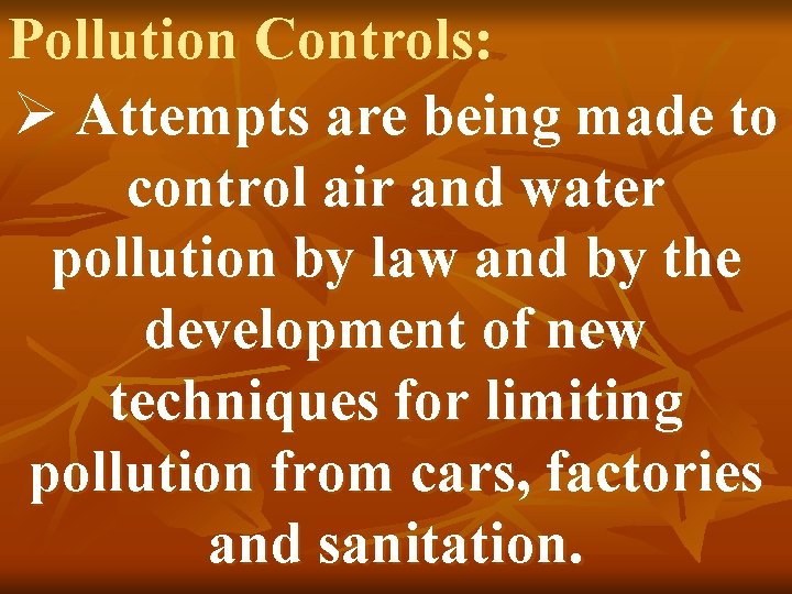 Pollution Controls: Ø Attempts are being made to control air and water pollution by