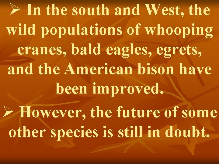 Ø In the south and West, the wild populations of whooping cranes, bald eagles,