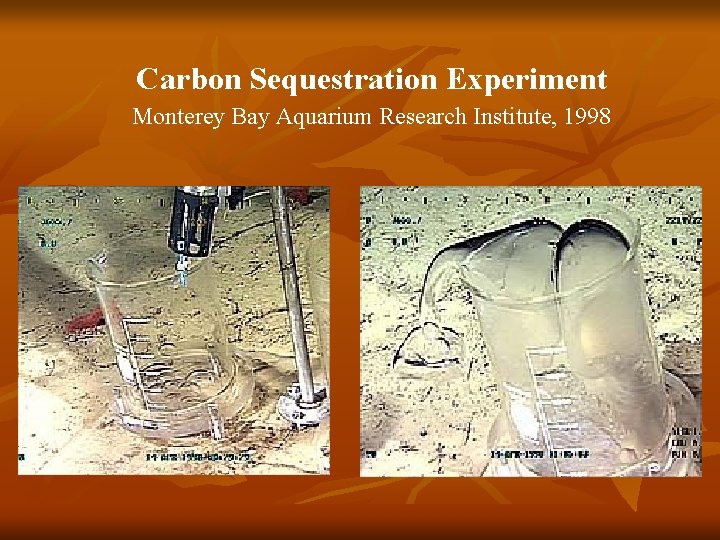 Carbon Sequestration Experiment Monterey Bay Aquarium Research Institute, 1998 