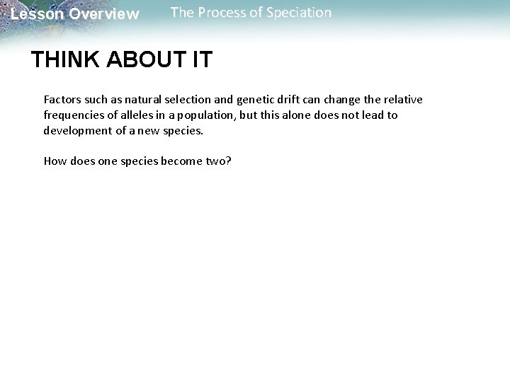 Lesson Overview The Process of Speciation THINK ABOUT IT Factors such as natural selection Lesson Overview The Process of Speciation THINK ABOUT IT Factors such as natural selection