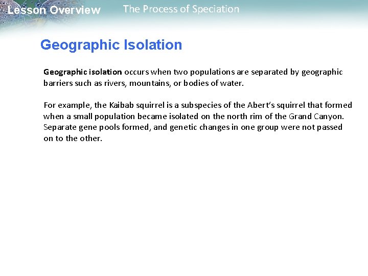 Lesson Overview The Process of Speciation Geographic Isolation Geographic isolation occurs when two populations Lesson Overview The Process of Speciation Geographic Isolation Geographic isolation occurs when two populations