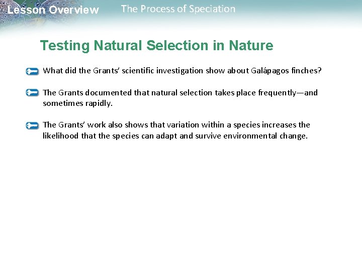 Lesson Overview The Process of Speciation Testing Natural Selection in Nature What did the Lesson Overview The Process of Speciation Testing Natural Selection in Nature What did the