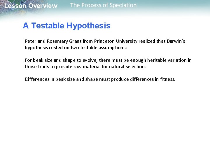 Lesson Overview The Process of Speciation A Testable Hypothesis Peter and Rosemary Grant from Lesson Overview The Process of Speciation A Testable Hypothesis Peter and Rosemary Grant from