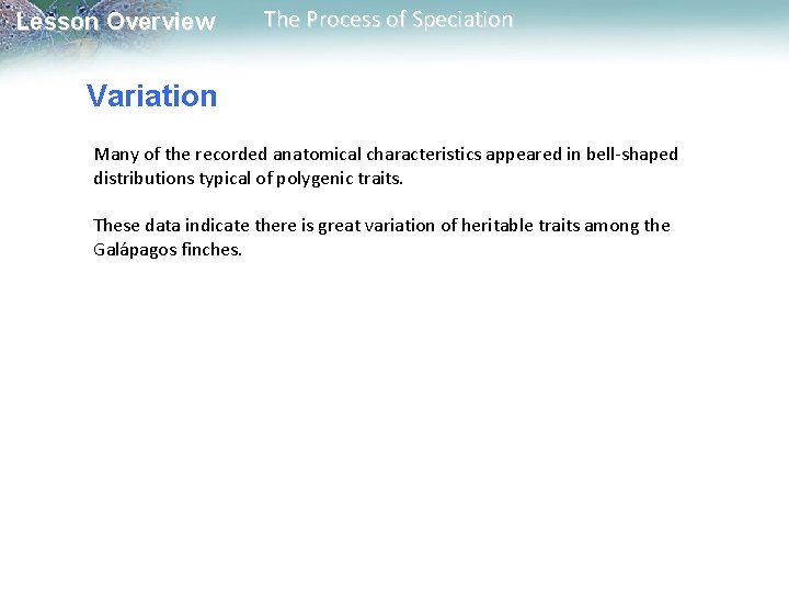 Lesson Overview The Process of Speciation Variation Many of the recorded anatomical characteristics appeared Lesson Overview The Process of Speciation Variation Many of the recorded anatomical characteristics appeared