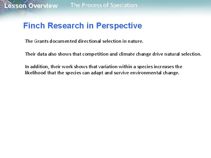 Lesson Overview The Process of Speciation Finch Research in Perspective The Grants documented directional Lesson Overview The Process of Speciation Finch Research in Perspective The Grants documented directional