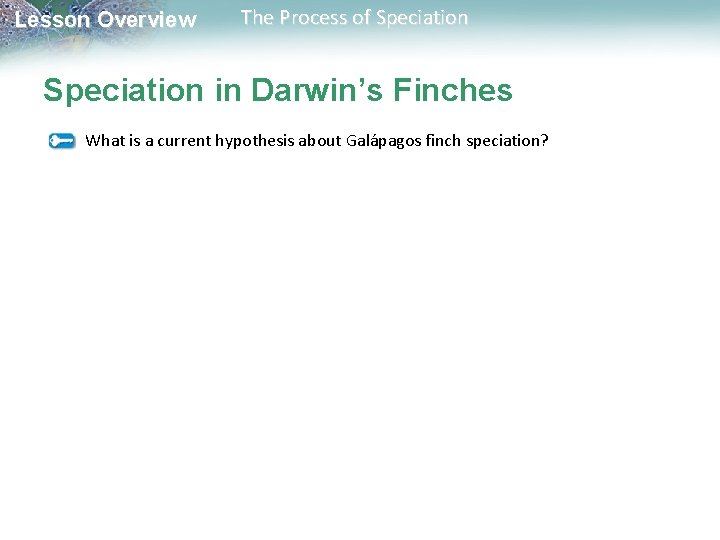 Lesson Overview The Process of Speciation in Darwin’s Finches What is a current hypothesis Lesson Overview The Process of Speciation in Darwin’s Finches What is a current hypothesis