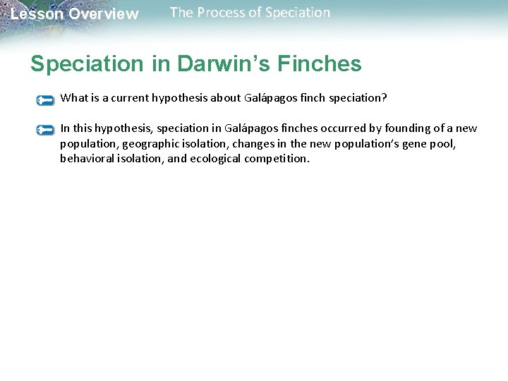 Lesson Overview The Process of Speciation in Darwin’s Finches What is a current hypothesis Lesson Overview The Process of Speciation in Darwin’s Finches What is a current hypothesis