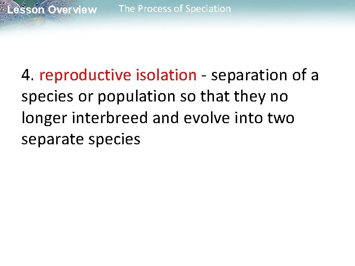 Lesson Overview The Process of Speciation 4. reproductive isolation - separation of a species Lesson Overview The Process of Speciation 4. reproductive isolation - separation of a species