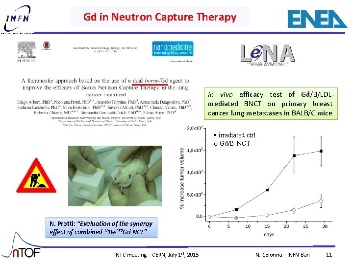 Gd in Neutron Capture Therapy In vivo efficacy test of Gd/B/LDLmediated BNCT on primary