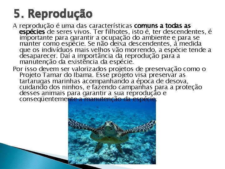 5. Reprodução A reprodução é uma das características comuns a todas as espécies de 5. Reprodução A reprodução é uma das características comuns a todas as espécies de