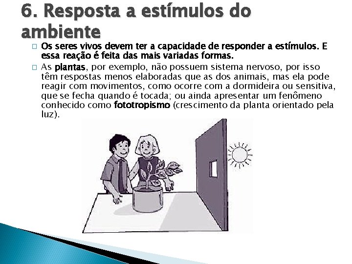 6. Resposta a estímulos do ambiente � � Os seres vivos devem ter a 6. Resposta a estímulos do ambiente � � Os seres vivos devem ter a