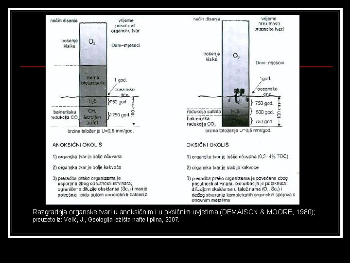 Razgradnja organske tvari u anoksičnim i u oksičnim uvjetima (DEMAISON & MOORE, 1980); preuzeto
