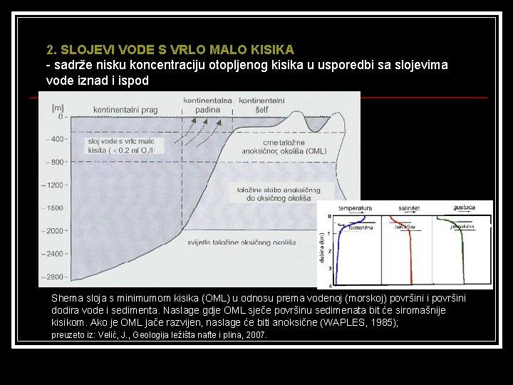 2. SLOJEVI VODE S VRLO MALO KISIKA - sadrže nisku koncentraciju otopljenog kisika u