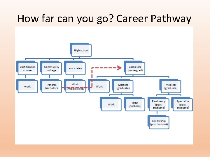 How far can you go? Career Pathway How far can you go? Career Pathway