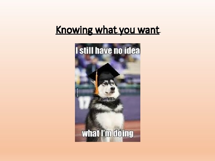 Knowing what you want Knowing what you want