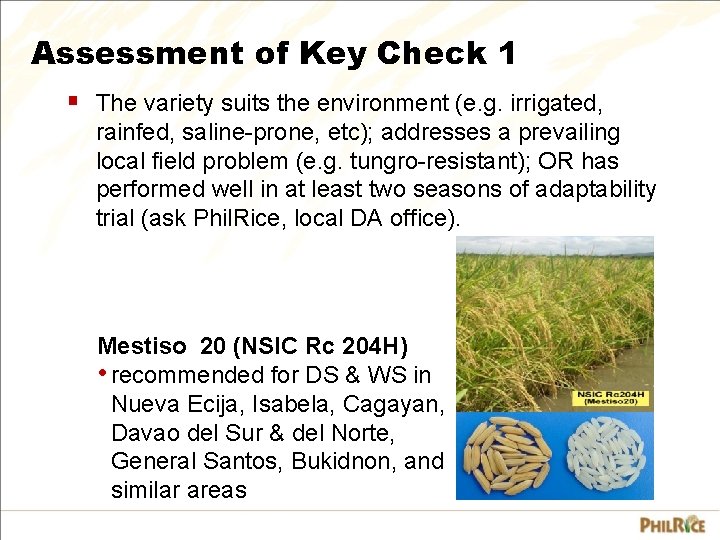 Assessment of Key Check 1 § The variety suits the environment (e. g. irrigated,