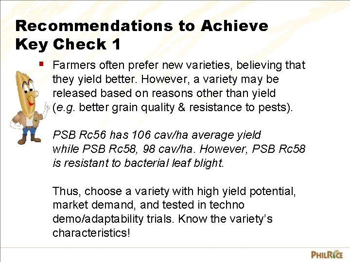 Recommendations to Achieve Key Check 1 § Farmers often prefer new varieties, believing that