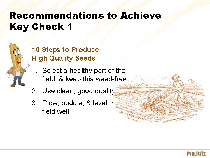 Recommendations to Achieve Key Check 1 10 Steps to Produce High Quality Seeds 1.