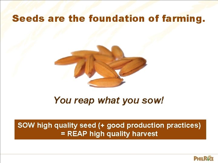 Seeds are the foundation of farming. You reap what you sow! SOW high quality