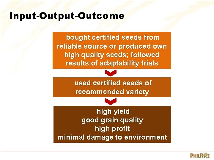 Input-Outcome bought certified seeds from reliable source or produced own high quality seeds; followed