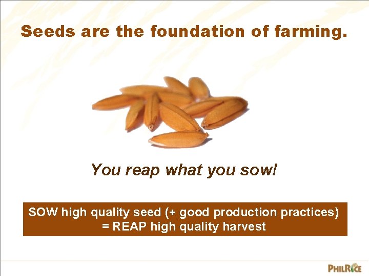 Seeds are the foundation of farming. You reap what you sow! SOW high quality