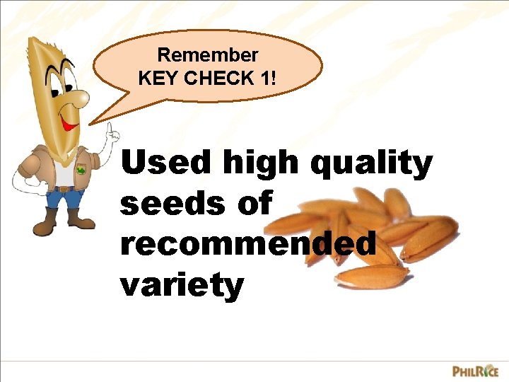 Remember KEY CHECK 1! Used high quality seeds of recommended variety 