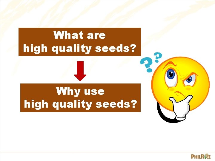 What are high quality seeds? Why use high quality seeds? 