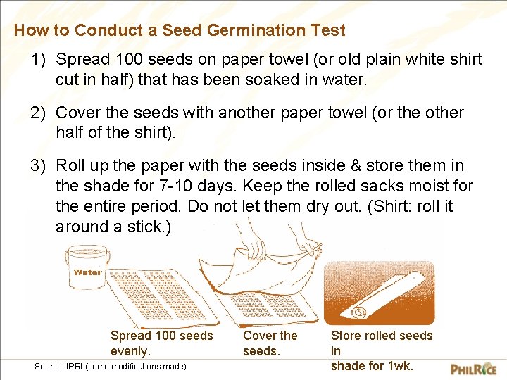 How to Conduct a Seed Germination Test 1) Spread 100 seeds on paper towel