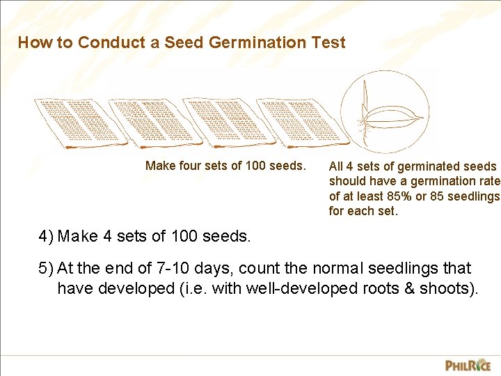 How to Conduct a Seed Germination Test Make four sets of 100 seeds. All