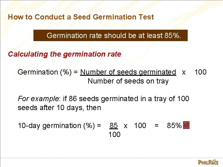 How to Conduct a Seed Germination Test Germination rate should be at least 85%.