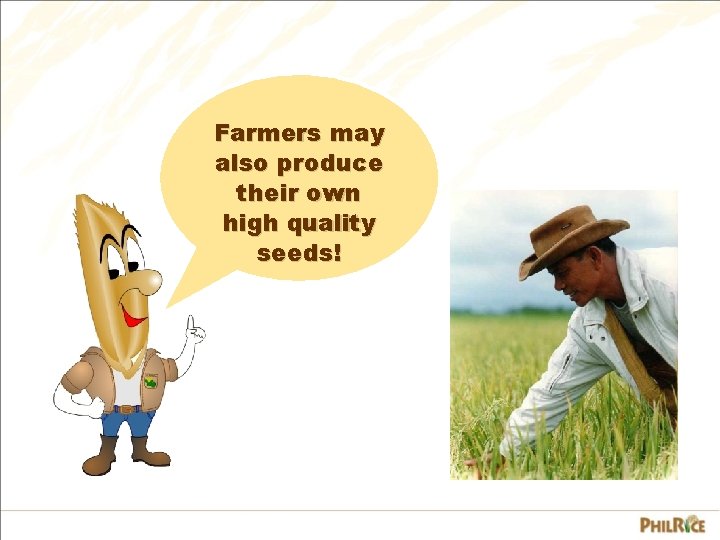 Farmers may also produce their own high quality seeds! 