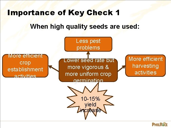 Importance of Key Check 1 When high quality seeds are used: Less pest problems
