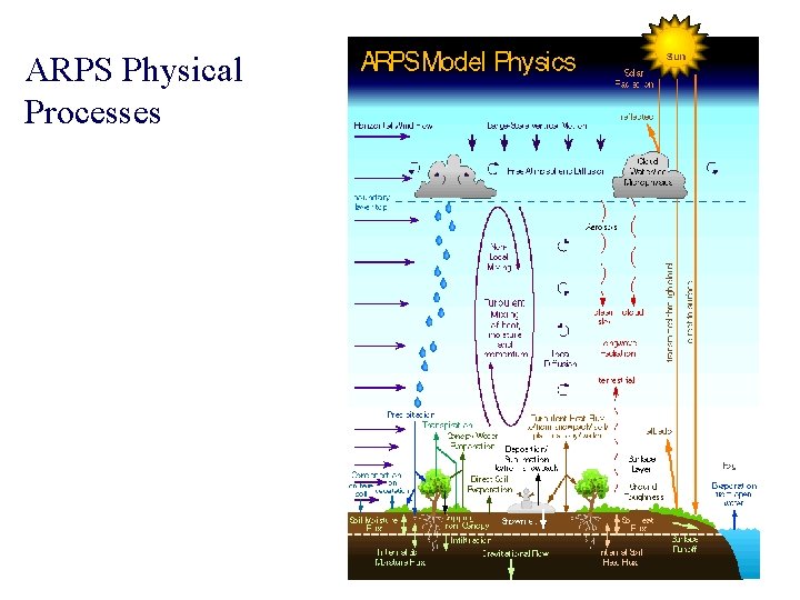 ARPS Physical Processes ARPS Physical Processes