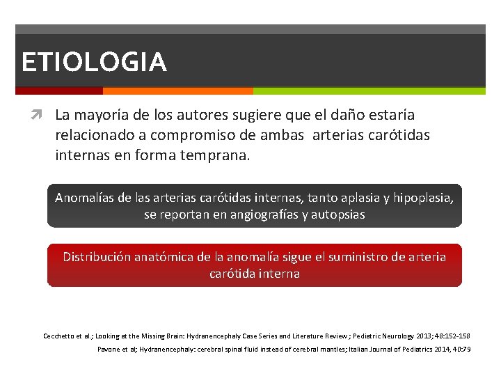 ETIOLOGIA La mayoría de los autores sugiere que el daño estaría relacionado a compromiso ETIOLOGIA La mayoría de los autores sugiere que el daño estaría relacionado a compromiso