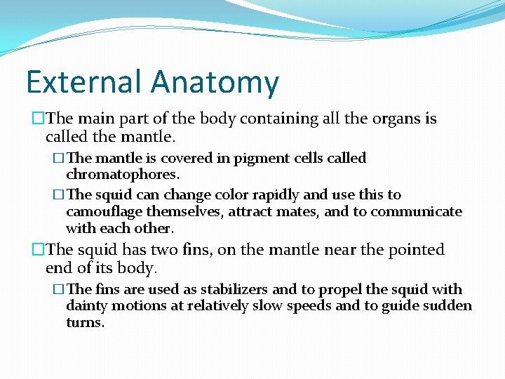 External Anatomy �The main part of the body containing all the organs is called