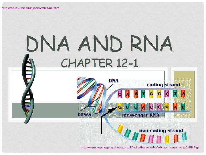 http: //faculty. uca. edu/~johnc/mbi 1440. htm DNA AND RNA CHAPTER 12 -1 http: //www.