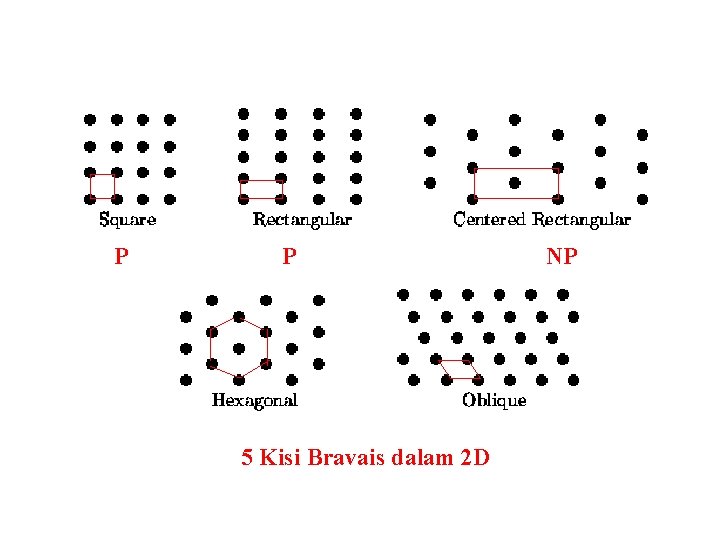 P P 5 Kisi Bravais dalam 2 D NP 