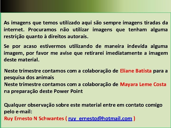 As imagens que temos utilizado aqui são sempre imagens tiradas da internet. Procuramos não