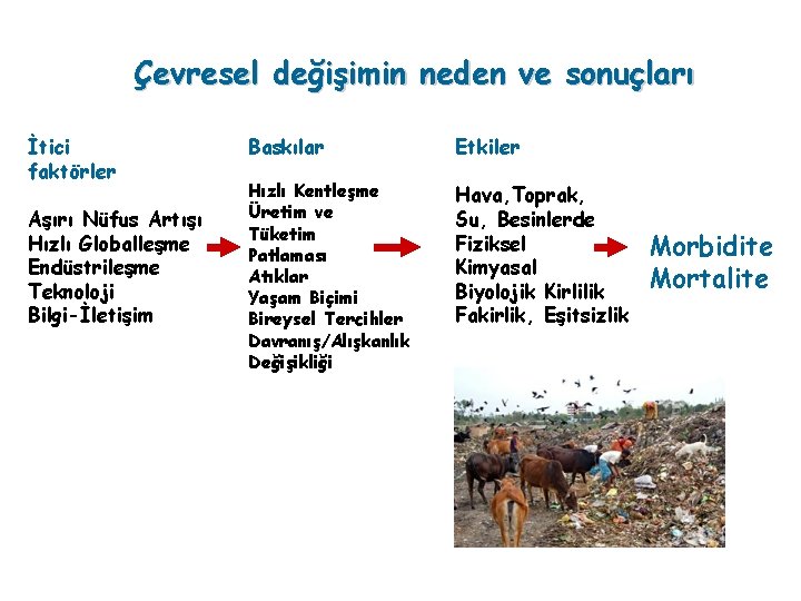 Çevresel değişimin neden ve sonuçları İtici faktörler Aşırı Nüfus Artışı Hızlı Globalleşme Endüstrileşme Teknoloji