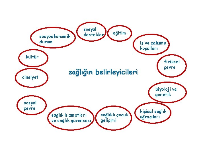 sosyoekonomik durum sosyal destekler eğitim iş ve çalışma koşulları kültür cinsiyet sağlığın belirleyicileri fiziksel