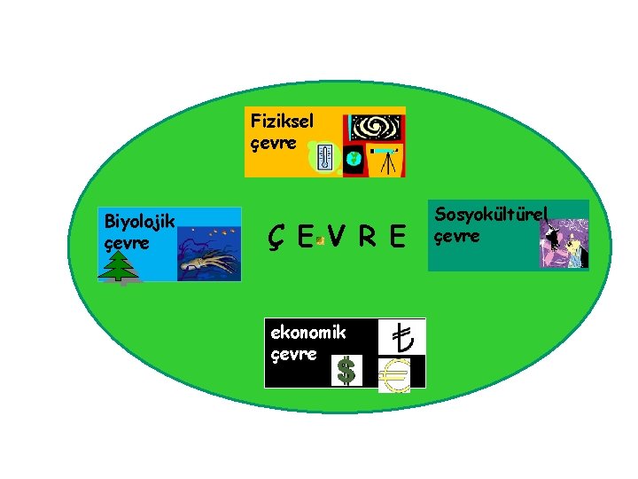 Fiziksel çevre Biyolojik çevre Ç E V R E ekonomik çevre Sosyokültürel çevre 