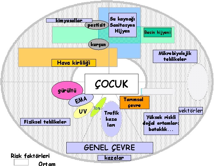 Su kaynağı pestisit Sanitasyon Hijyen kimyasallar Besin hijyeni kurşun Mikrobiyolojik tehlikeler Hava kirliliği ÇOCUK