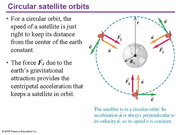 Circular satellite orbits • For a circular orbit, the speed of a satellite is