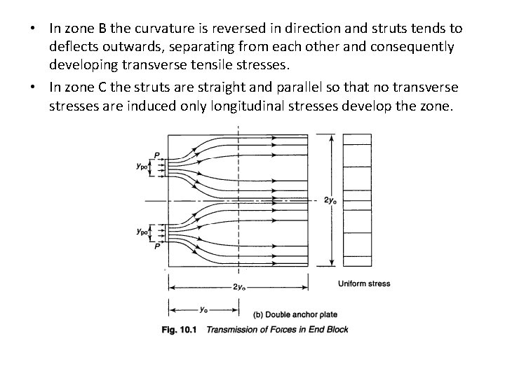  • In zone B the curvature is reversed in direction and struts tends