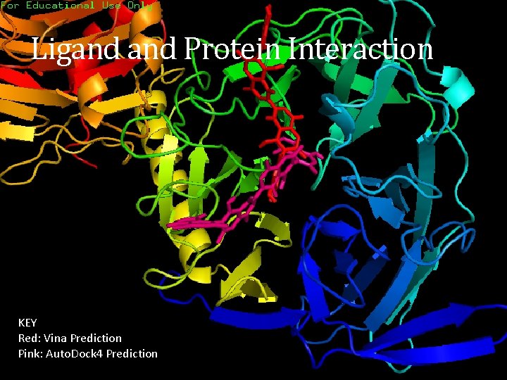 Ligand Protein Interaction KEY Red: Vina Prediction Pink: Auto. Dock 4 Prediction 