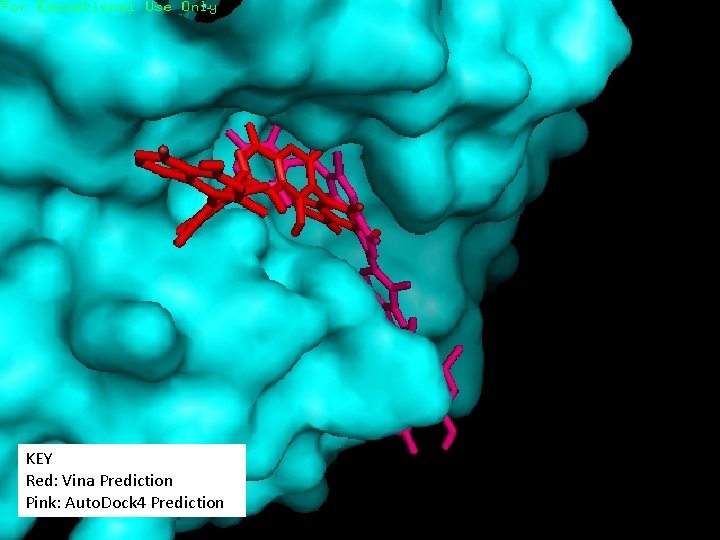 KEY Red: Vina Prediction Pink: Auto. Dock 4 Prediction 