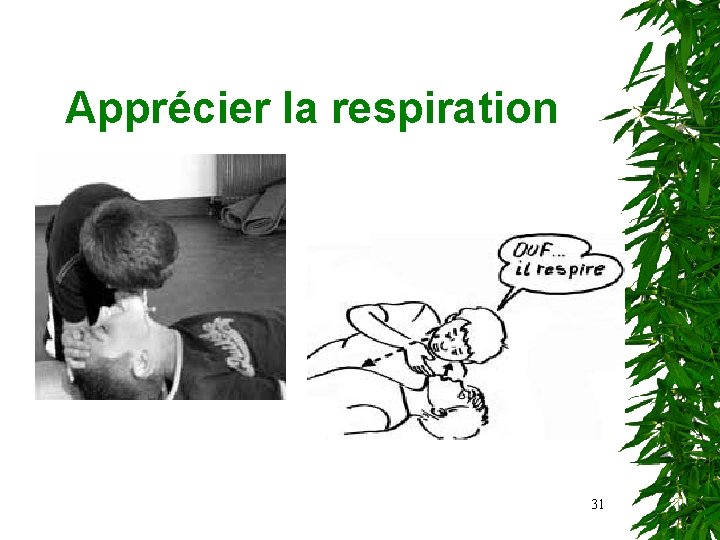Apprécier la respiration 31 