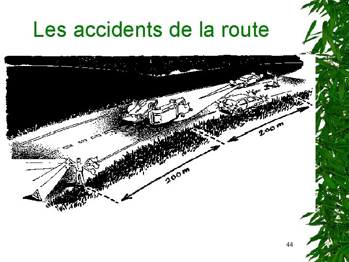 Les accidents de la route 44 